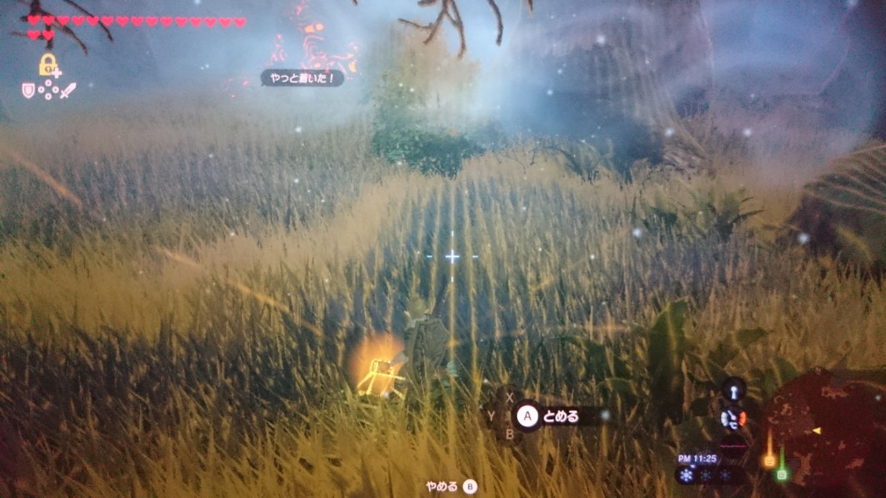 Nsw ゼルダの伝説 ブレス オブ ザ ワイルド ゲームは脳力 能力をアップさせる至高のエンターテインメント ゲームをすると馬鹿になるなんて言わせない Nsw ゼルダの伝説 ブレス オブ ザ ワイルド ゲームは脳力 能力をアップさせる至高のエンターテインメント ゲームをすると馬鹿になるなんて言わせない