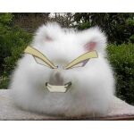 伝説の超アンゴラウサギ