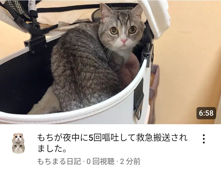 【悲報】もちまる、もう死にそ。連続嘔吐で病院へ～