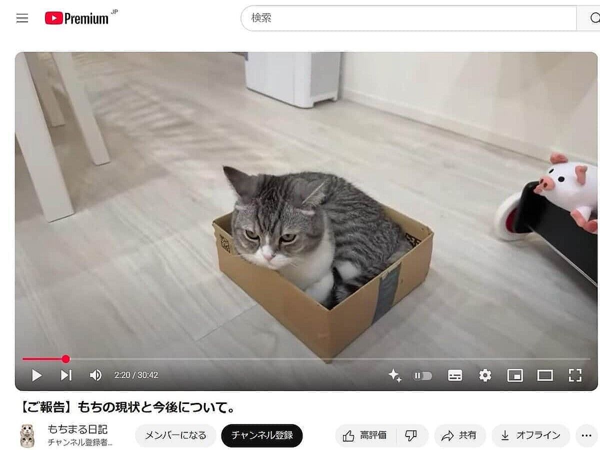 【悲報】もちまる日記、活動再開で2万人が目を覚ます！残りは容認派かよ･･･