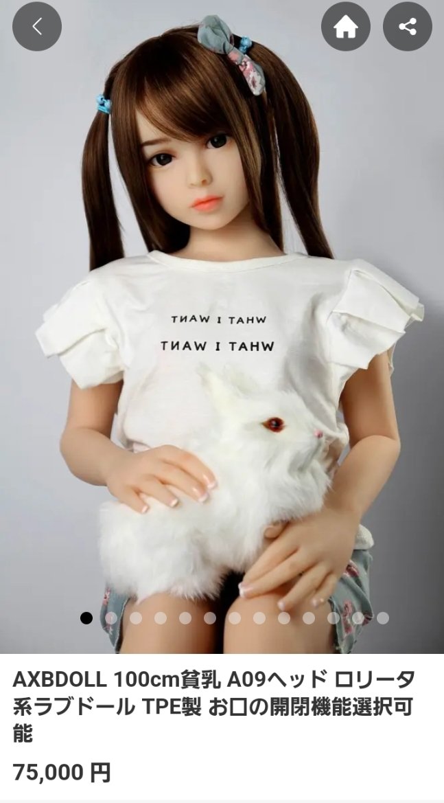 【訴訟】暇空茜の“右腕”、ロリダッチワイフ使用をバラされ怒りの開示請求