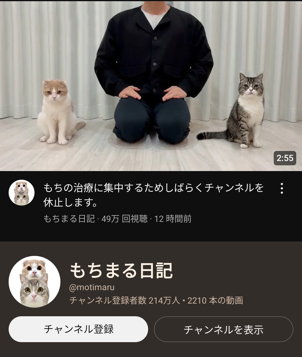 【悲報】もちまる日記、活動休止発表「GW前？あっ...（察っ）」