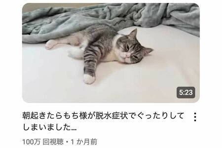 【犬猫】愛犬家YouTuber引退「老いて弱る姿は投稿しない」→も〇まる日記「撮れ高やんｗ」