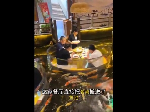 【動画】中国レストラン、豪華で凄すぎ！ガラスの貼りの席に錦鯉！…チャイナボカンwwwワロタww