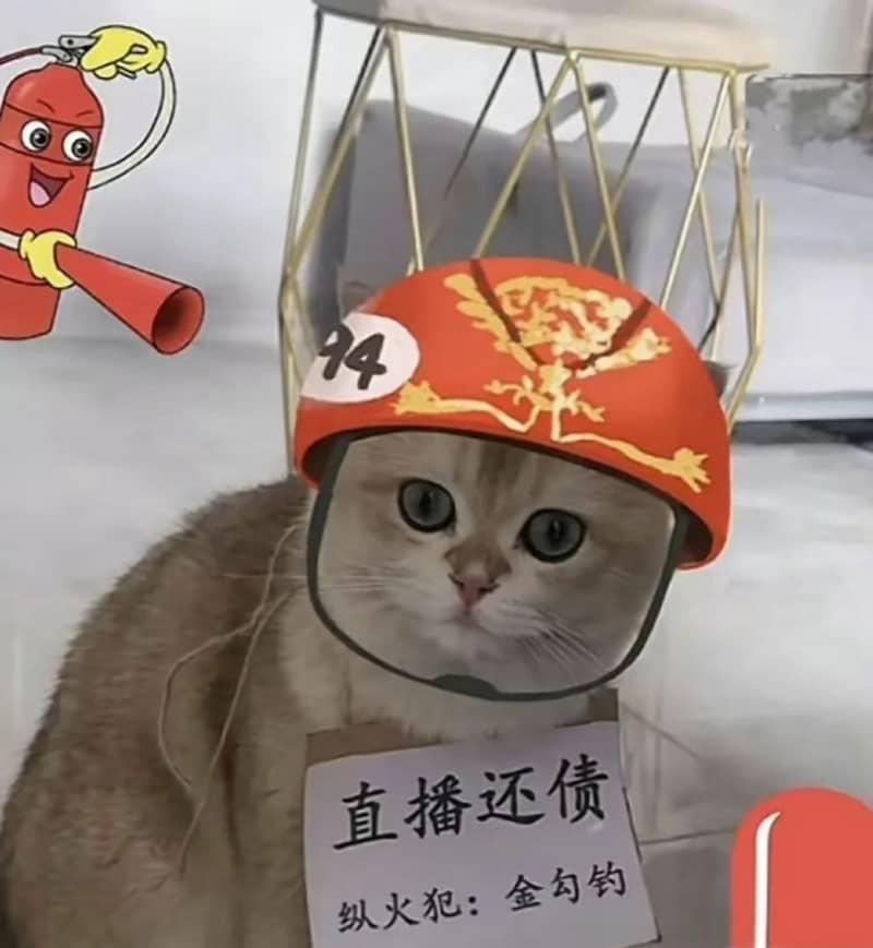 【中国】放火犯の猫、生配信でカネ稼ぎ