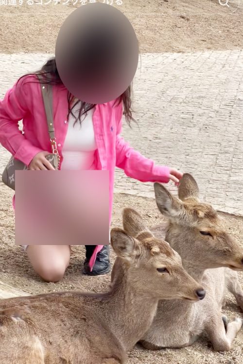 【大阪人】奈良公園の中国人盗撮で、YouTuberの男が逮捕・スカートの中を盗撮認める