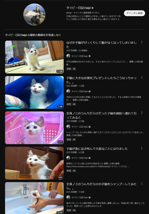 【タイピー日記】またも弱った子猫を拾って動画投稿する