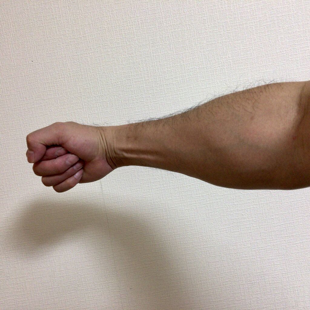 握力 コアラ