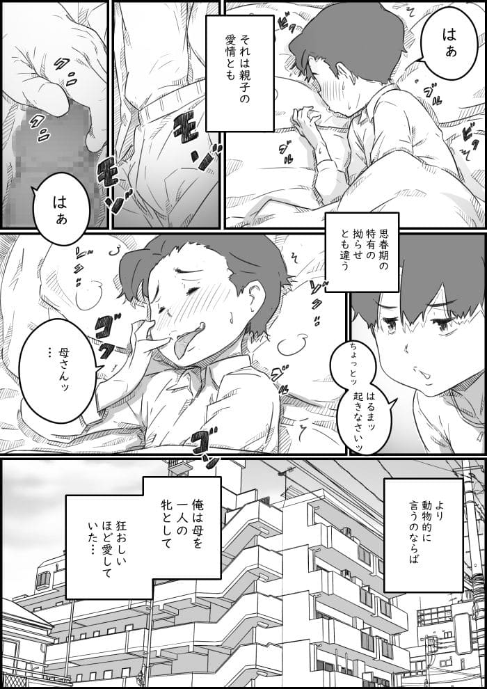 d_543253jp-008