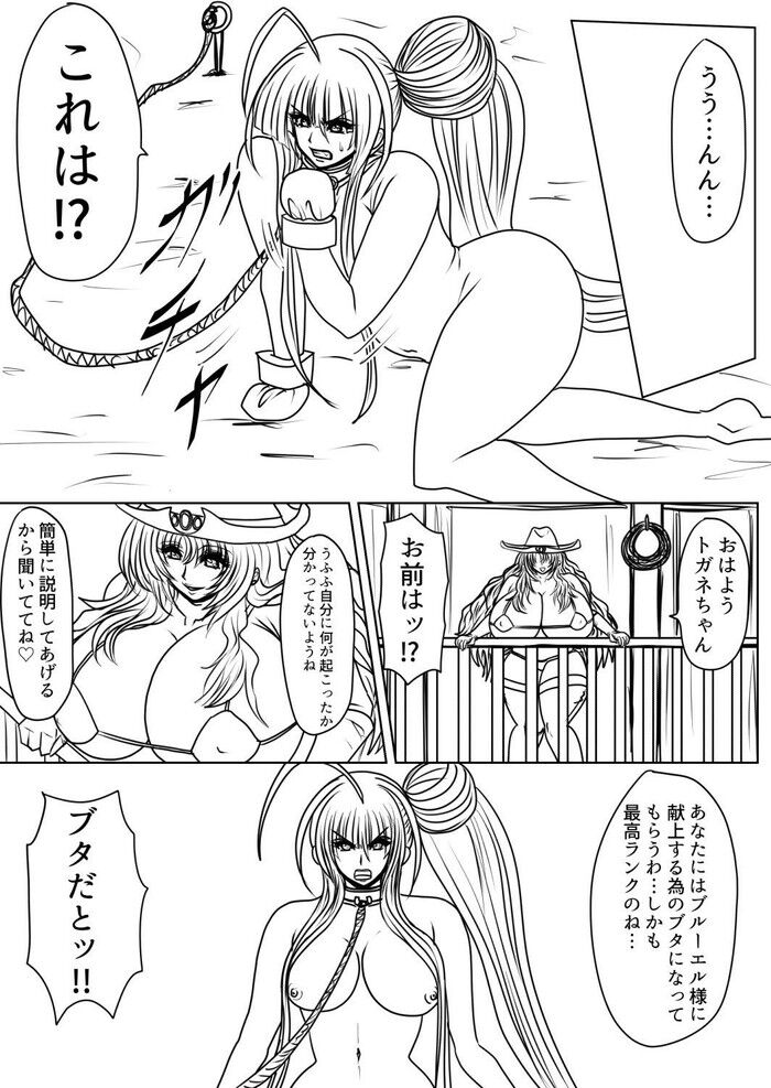 d_259782jp-004
