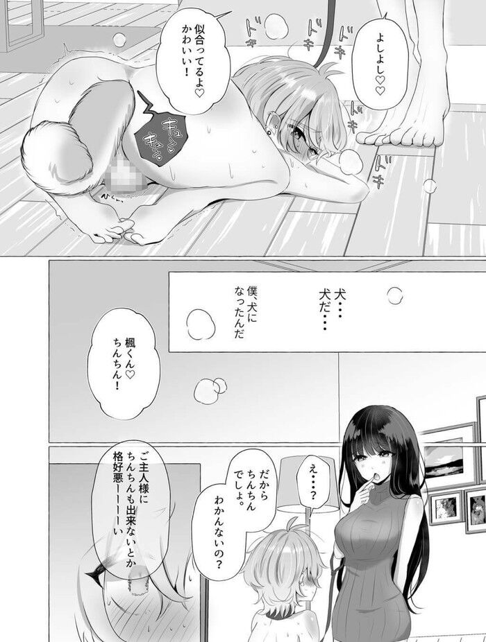 d_209581jp-006