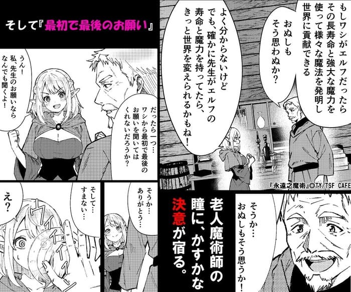 d_648506jp-004