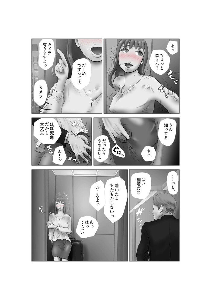 d_295556jp-002