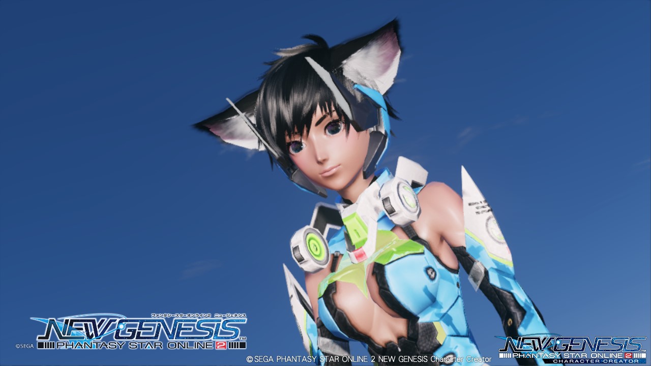 Pso2 Ngs ベンチマークお試しキャラメイク イリュゲー限界キャラメイクブログ Pso2 Ngs ベンチマークお試しキャラメイク イリュゲー限界キャラメイクブログ