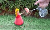 いっしょにフォト スーパーマリオ