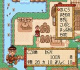 大爆笑人生劇場 大江戸日記 タイトー スーパーファミコン SFC版