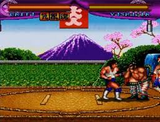 大仁田厚FMW ポニーキャニオン スーパーファミコン SFC版