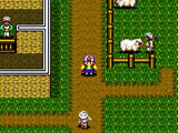 シャダム・クルセイダー〜遥かなる王国〜 セガ ゲームギア GG版