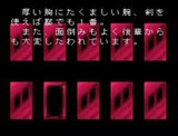 ザ・心理ゲーム3 ヴィジット スーパーファミコン SFC版