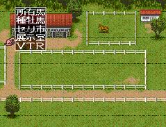 レビュー攻略 ダービースタリオン2 アスキー スーパーファミコン sfc版 ダビスタ2 テレビゲーム攻略道 レビュー 書籍やコミックも レビュー攻略 ダービースタリオン2 アスキー スーパーファミコン sfc版 ダビスタ2 テレビゲーム攻略道 レビュー 書籍やコミックも