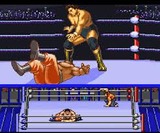 天龍源一郎のプロレスレヴォリューション ジャレコ スーパーファミコン SFC版