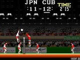 スーパーバレーボール ビデオシステム メガドライブ MD版