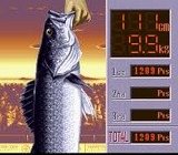 海釣り名人 スズキ編 EAビクター スーパーファミコン SFC版