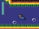 アダムスファミリー アクレイムジャパン ゲームギア GG版