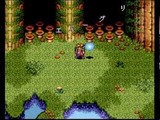 天地創造 エニックス スーパーファミコン SFC版