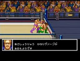 船木誠勝HYBRID WRESTLER ハイブリッドレスラー テクノスジャパン スーパーファミコン SFC版