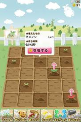 マメクエ