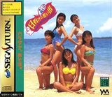 日灼けの想い出+姫くり