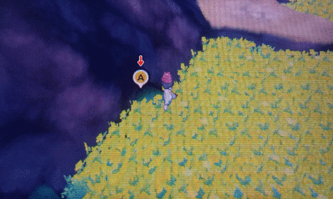 【ポケモンサンムーン】海繋ぎの洞窟の場所と出現ポケモン