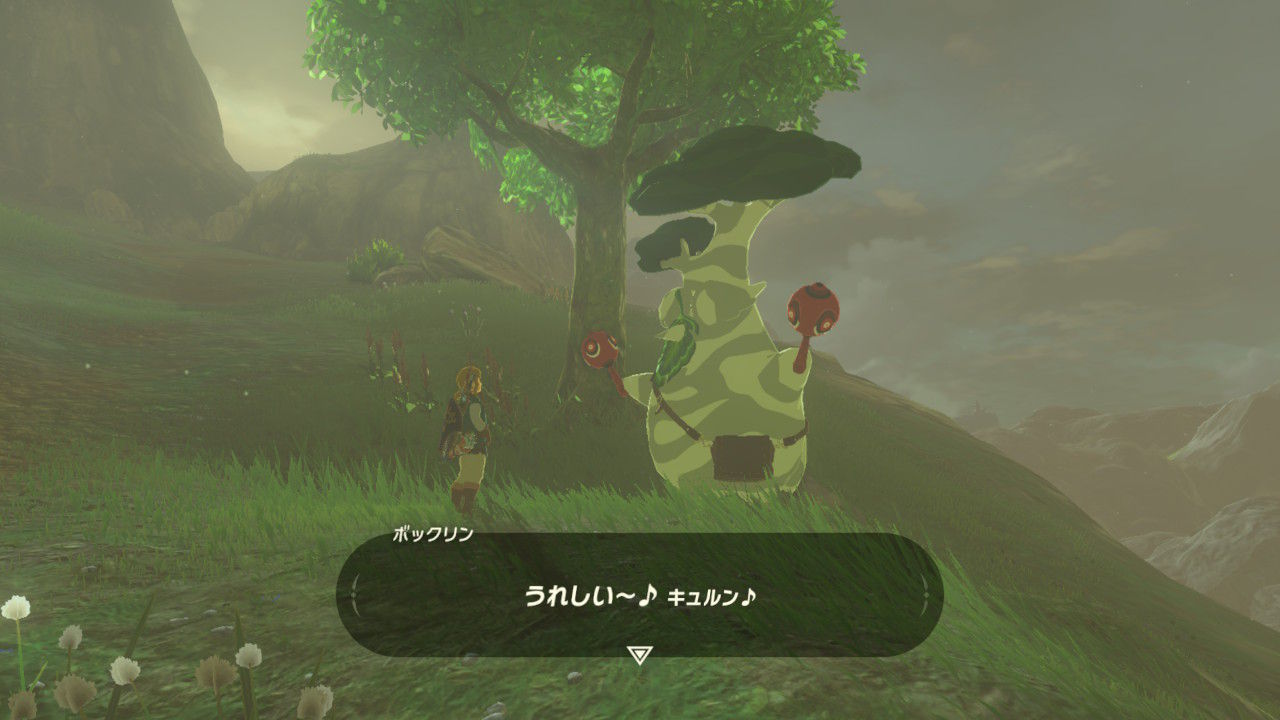 ゼルダの伝説ブレスオブザワイルドプレイ日記13 カカリコ村で発見 こんなところにコッコちゃん すいっちぶろぐ
