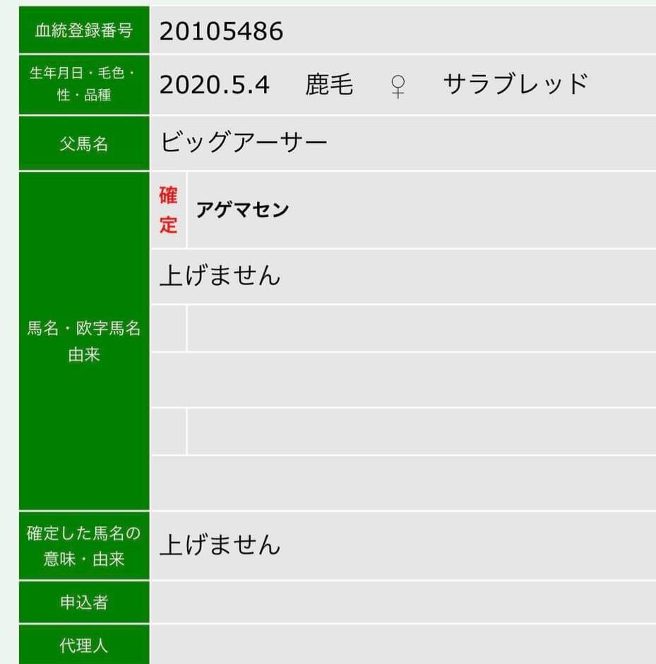 ウマ娘 Dqnネームつけた子供が歳食って悲惨なことになる例と似てる ウマ娘攻略まとめステイヤー