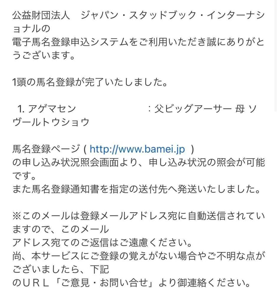 ウマ娘 Dqnネームつけた子供が歳食って悲惨なことになる例と似てる ウマ娘攻略まとめステイヤー