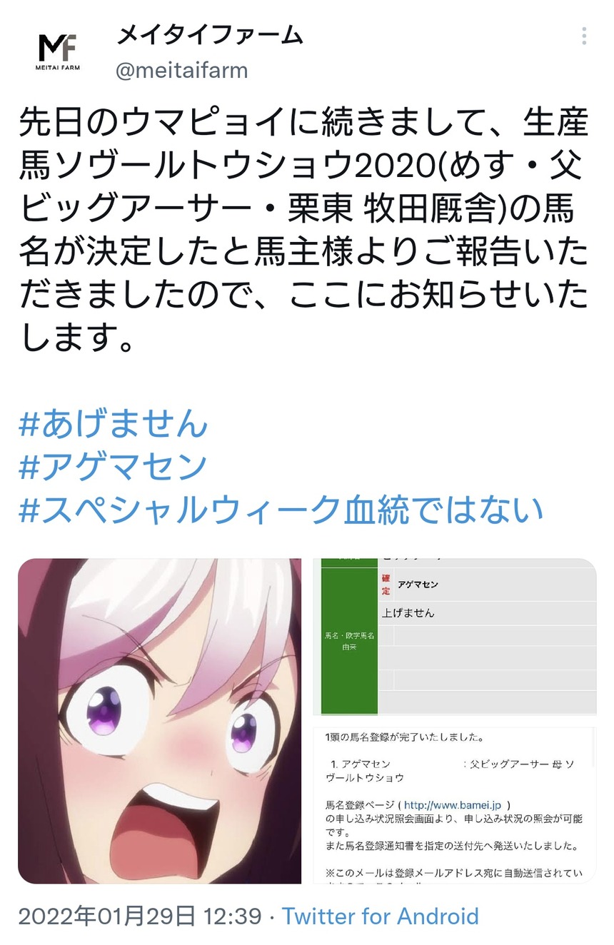 ウマ娘 Dqnネームつけた子供が歳食って悲惨なことになる例と似てる ウマ娘攻略まとめステイヤー