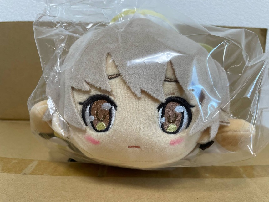 【ブルアカ】ヒフぐるみ届きました 結構ちょうどいいサイズですね 【ブルアカ】ヒフぐるみ届きました 結構ちょうどいいサイズですね