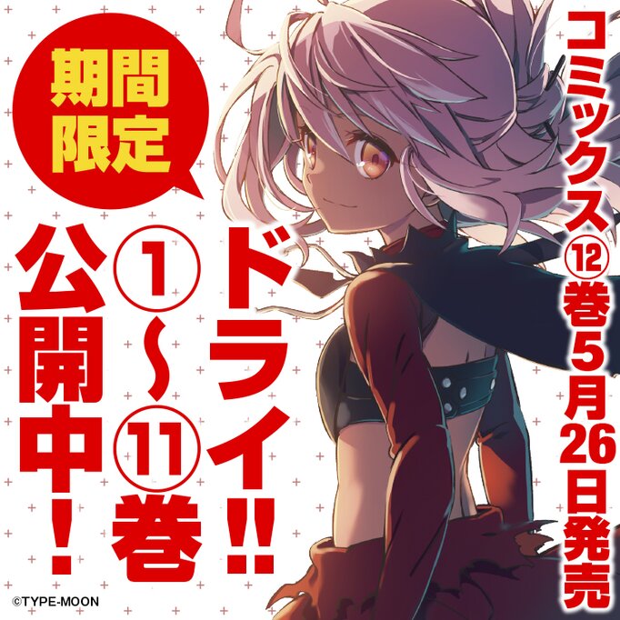 Fate Kaleid Linerプリズマ イリヤ ドライ 本日発売のコミックス最新12巻発売を記念して11巻までの66話分を期間限定で無料公開 Fate Grand Order Blog Fate Kaleid Linerプリズマ イリヤ ドライ 本日発売のコミックス最新12巻発売を記念して11巻までの66話分を期間限定で無料公開 Fate Grand Order Blog