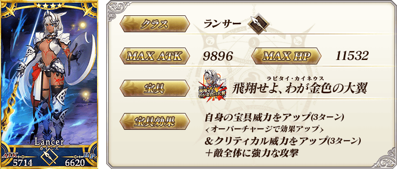 servant_details_02