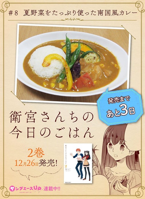 衛宮さんちの今日のごはん２巻の料理画像付カウントダウン企画が開始 第８回目は 夏野菜をたっぷり使った南国風カレー Fate Grand Order Blog