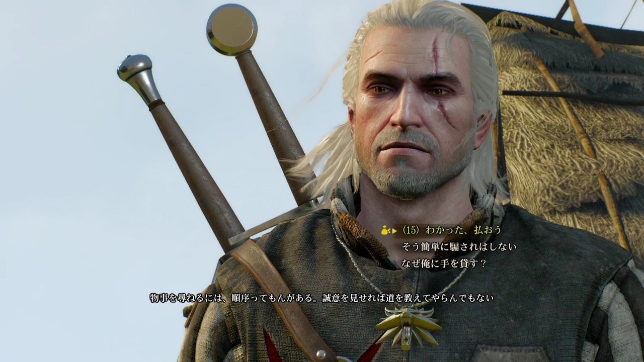 ウィッチャー3 Part16 ゲームの日記 ウィッチャー3 Part16 ゲームの日記