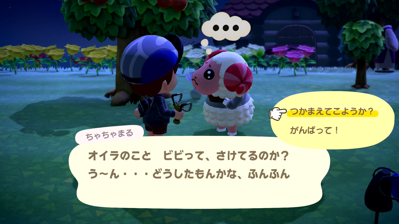 あつまれどうぶつの森 住民からのお願いを受けてみました ゲーム攻略のまるはし