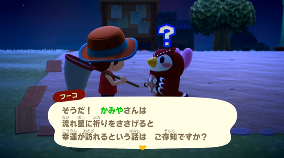 フーコ_02