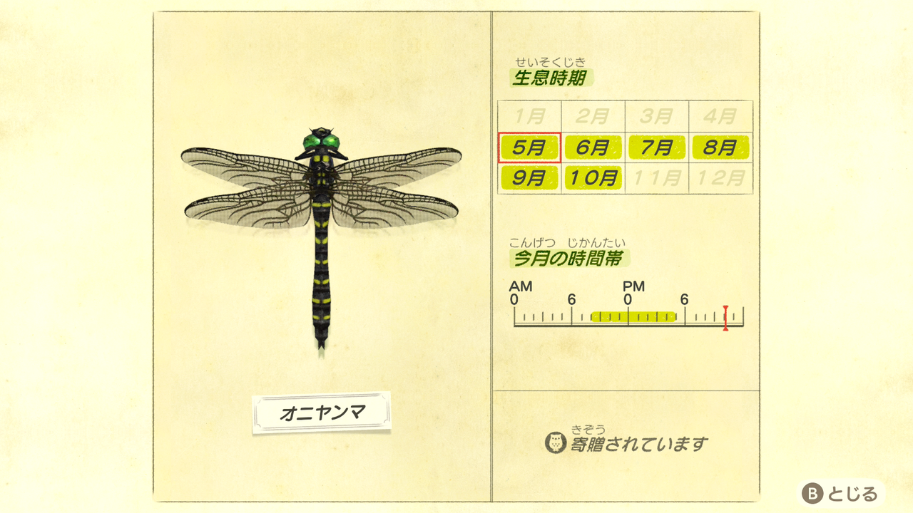 あつまれどうぶつの森 5月のサカナ ムシ捕獲しました オオムラサキ アレキサンドラトリバネアゲハ ロウニンアジ シイラなど ゲーム攻略のまるはし