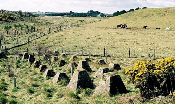 Dragon's Teeth