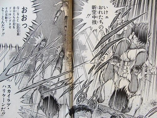 スカイラブハリケーン