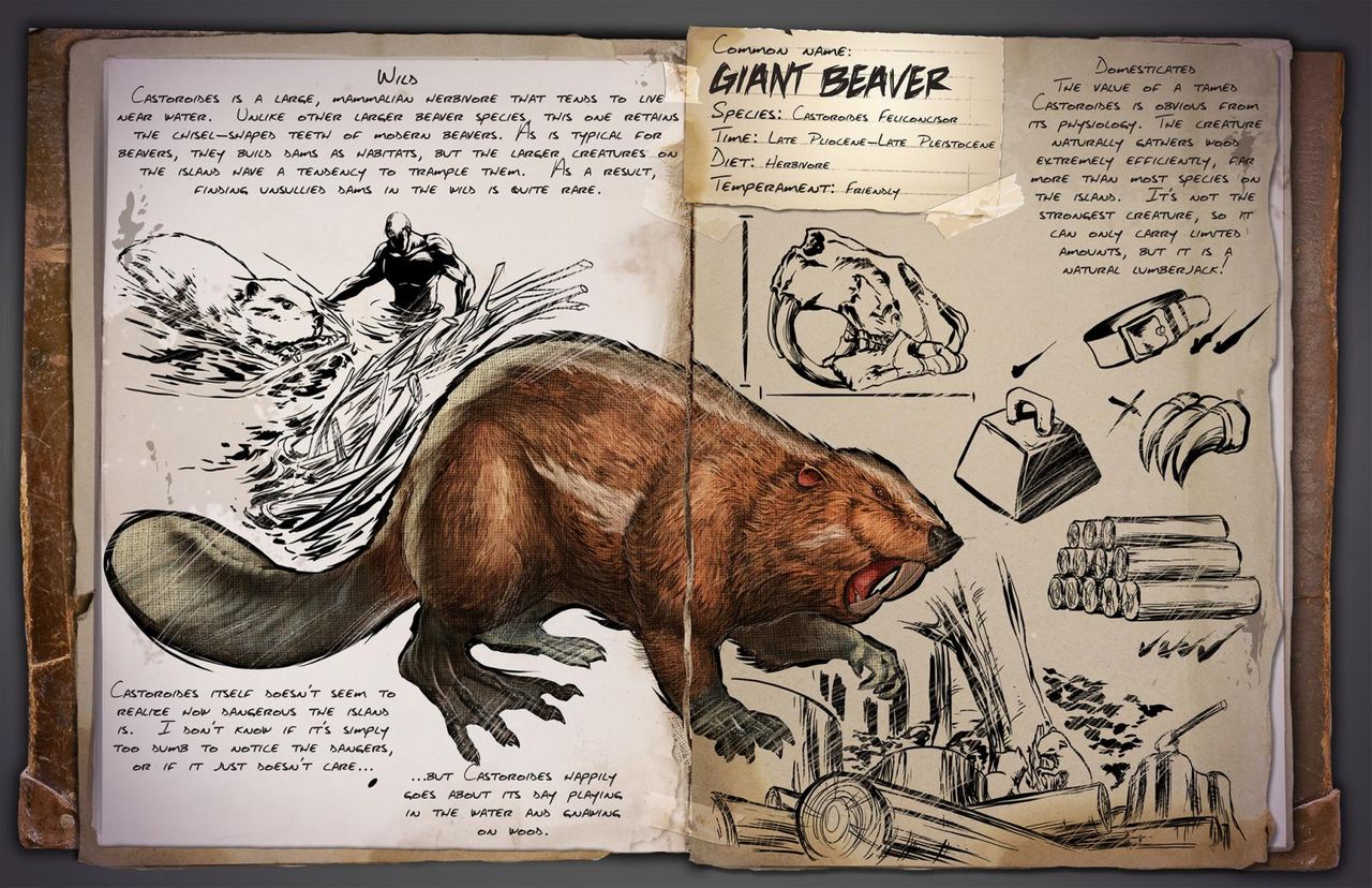 恐竜サバイバルrpg Ark Survival Evolved 騎乗もできるジャイアントビーバーを紹介するスポット ゲーム攻略のまるはし 恐竜サバイバルrpg Ark Survival Evolved 騎乗もできるジャイアントビーバーを紹介するスポット ゲーム攻略のまるはし