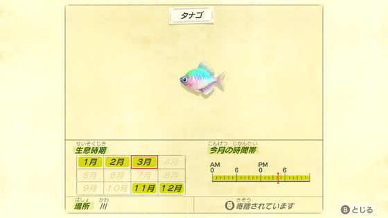 どうぶつの森_01