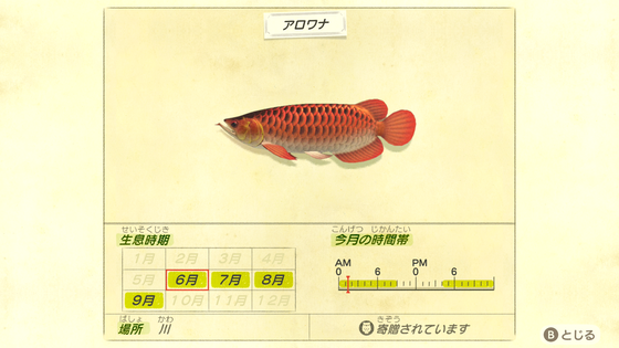 どうぶつの森_09